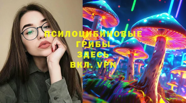 ГАЛЛЮЦИНОГЕННЫЕ ГРИБЫ Бабаево