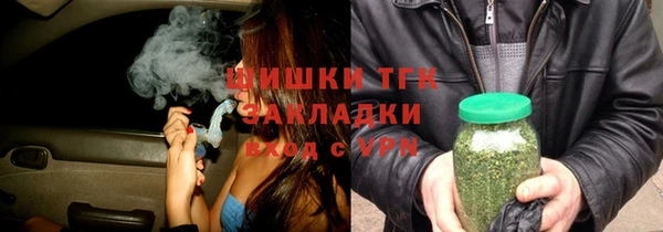 дживик Бородино