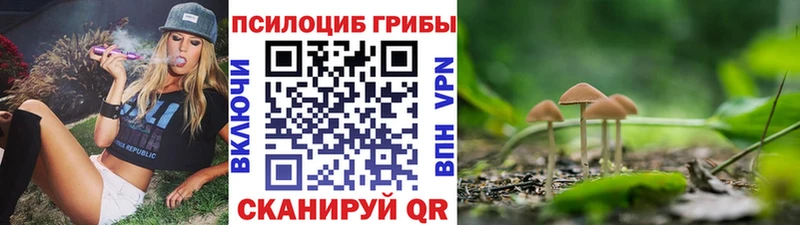 Галлюциногенные грибы Psilocybine cubensis  сайты даркнета Telegram  Зуевка 